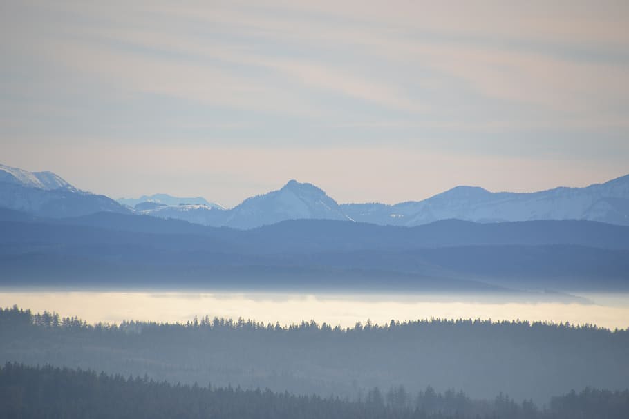 forest, mountains, sky, landscape, nature, clouds, selva marine, fog, trees, alps, mood