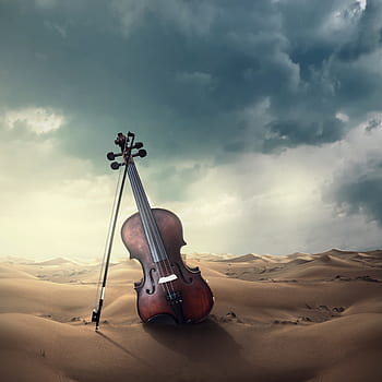 musical instrument, violin, music, musical instruments, instrument, classic, stringed instrument, art, stringed instruments, desert, sound