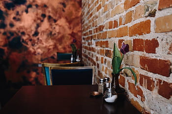 moderno, restaurante, Interior, muebles, cafetería, azul, bar, azul oscuro, ladrillo, ladrillo Pared, pared - Característica del edificio