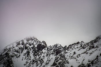 gray, mountain, covered, snow, winter, white, cold, weather, ice, trees, plants