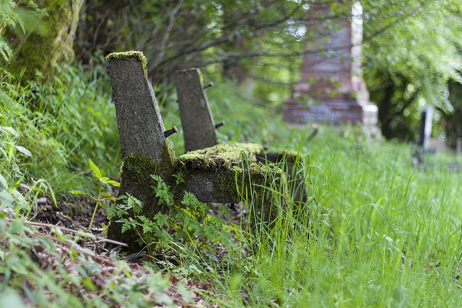 hřbitov, lavice, sedadlo, lavice, sedadlo, pamětní, venkovní, Paměť, smutek, osamělý, klidný, tráva
