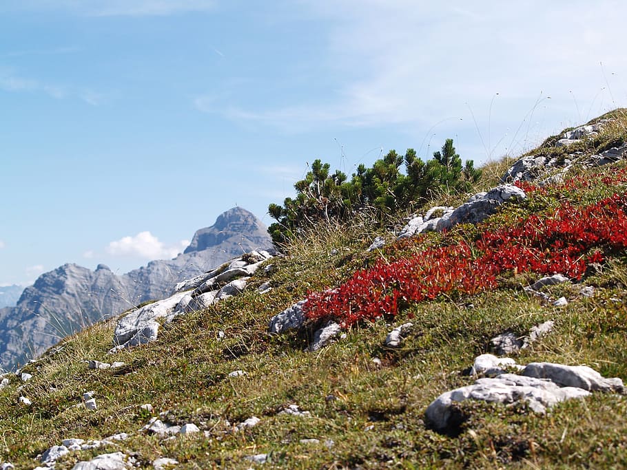vysokohorský, jestřáb, hora, podzim, jestřáb, hora, krajina, stubaital, nikdo, Příroda, mrak - nebe, den