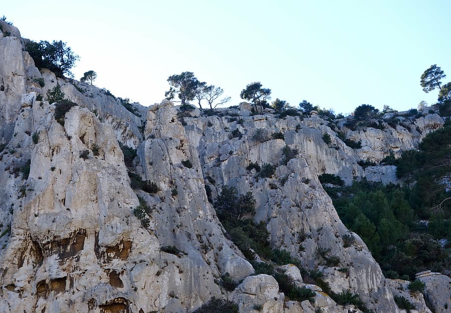 calanques, Francie, Marseille, skalnaté pobřeží, skalnaté, krajina, stromy