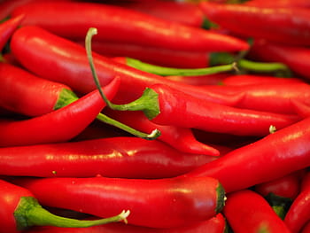 červené čili, chilli, Červené, ostrý, koření, chilli papričky, pepperoni, lusky, nachtschattengewächs, jídlo, paprika