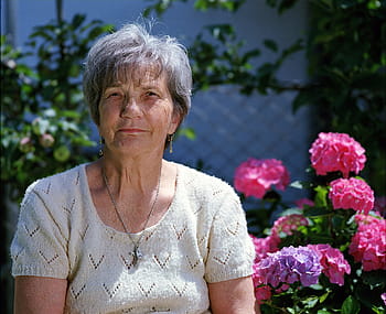žena, nošení, bílý, pletené, halenka, růžový, květiny, babička, starší, květ, senior