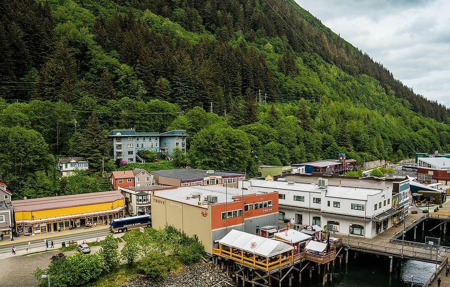 Aljaška, ledovec mendenhall, hora, sníh, scénický, krajina, hory, bílý, skály, juneau