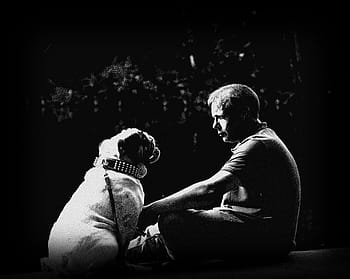 Foto en escala de grises, sentado, hombre, tenencia, bulldog, escala de grises, foto, amistad, mascota, confianza, maestro
