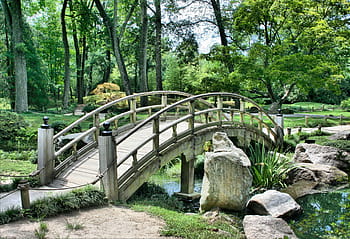 grigio, di legno, ponte, torrente, foresta, giorno, giardino giapponese, arco, parco, giardinaggio, verde