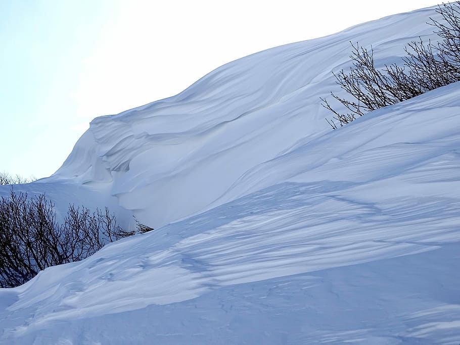 winter, snow, snowdrift, нанос, cornice, nature, landscape, cold, frost, snow wall, the bushes