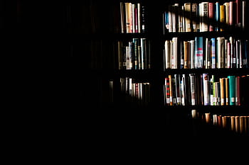 knihy na polici, slunečního světla, police, knih, knihovna, stín, regál, rezervovat, literatura, uvnitř, knihkupectví