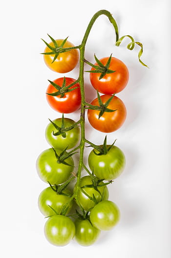 red, green, tomatoes, tomato, cherry, bunch, isolated, food, white, background, vegetable