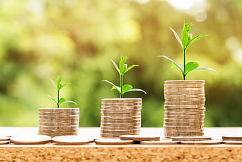three green plants, money, coins, finance, currency, business, investment, bank, financial, cash, wealth