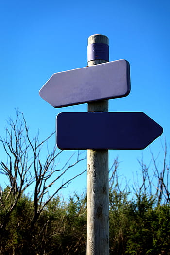 road, sky, shield, arrow, directory, direction, note, signposts, marking, street sign, label