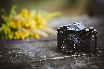 kamera vintage lama, Tua, vintage, kamera, kanon, fotografi, foto, fotografer, hobi, kamera - Peralatan Fotografi, kuno