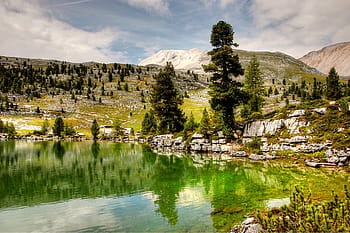 strom, tráva, pokryté, přistát, jezero, den, dolomity, větráky, krajina, hory, Skála