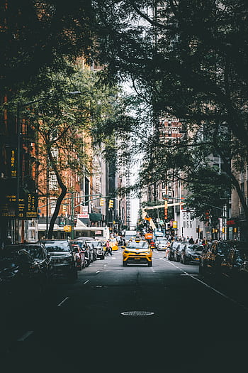 taxi, město, kabina, budova, auto, městský, život, žlutá, řízení, ulice, provoz