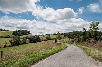 zelená, listoval, stromy, travnaté hřiště, silnice, tráva, pole, zataženo, nebe, během dne, krajina