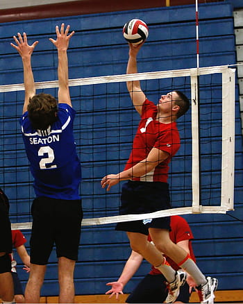 hommes jouer au volleyball, volley-ball, école secondaire, Jeu, concurrence, équipe, athlète, adolescent, rencontre, ballon, joueur de volleyball