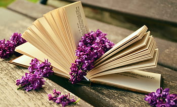 purple, petaled flowers, opened, book page, book, read, relax, lilac, bank, old, book pages