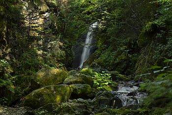 water, river, nature, landscape, forest, outdoors, reflection, ravenna gordge, black forest, schwarzwald