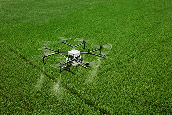 dji, zemědělství, uav, drone na ochranu rostlin, ochrany rostlin, zemědělské půdy, agras, trubec, dji zemědělství, rýže, v rýžovém poli
