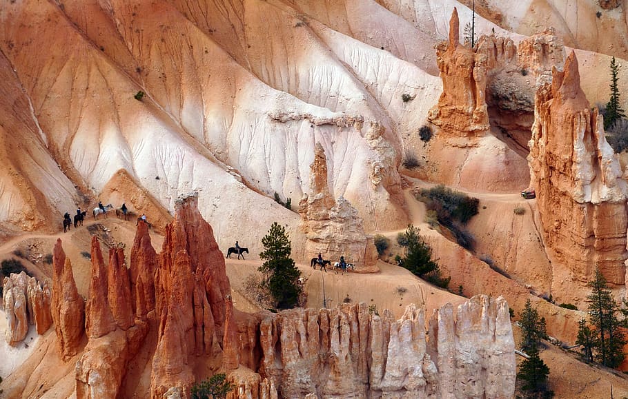 fotografování, miniatury kaňonu, krajina, scénický, jízda na koni, jezdectví, stezka, Příroda, venku, hora, národní park bryce canyon