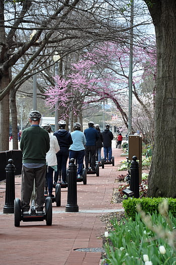 people, riding, pt segway, road, segway, electric, transportation, transport, fun, technology, lifestyle