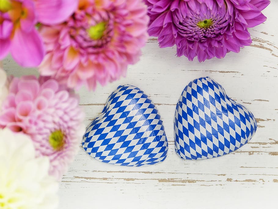 heart, two, bavarian, white blue, dahlias, flowers, colorful, invitation, greeting card, love, mother's day