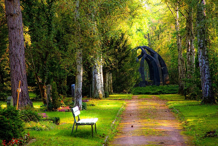 white, bench, green, leaf tree, cemetery, forest, grave stones, woodland cemetery, rest, mourning, funeral