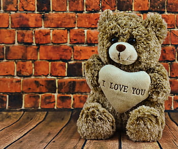 hnědý, teddy, medvěd, miluji, text, Červené, cihlová zeď, Valentýn, milovat, navždy, roztomilý