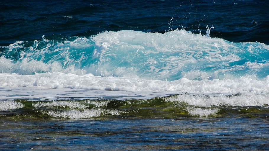 wave, smashing, sea, beach, nature, spray, foam, power, energy, blue