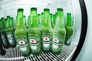 heineken, pivo, sklenka, láhev, hodně, Zobrazit, chladič, lahví, lednička, zelená, nápoje