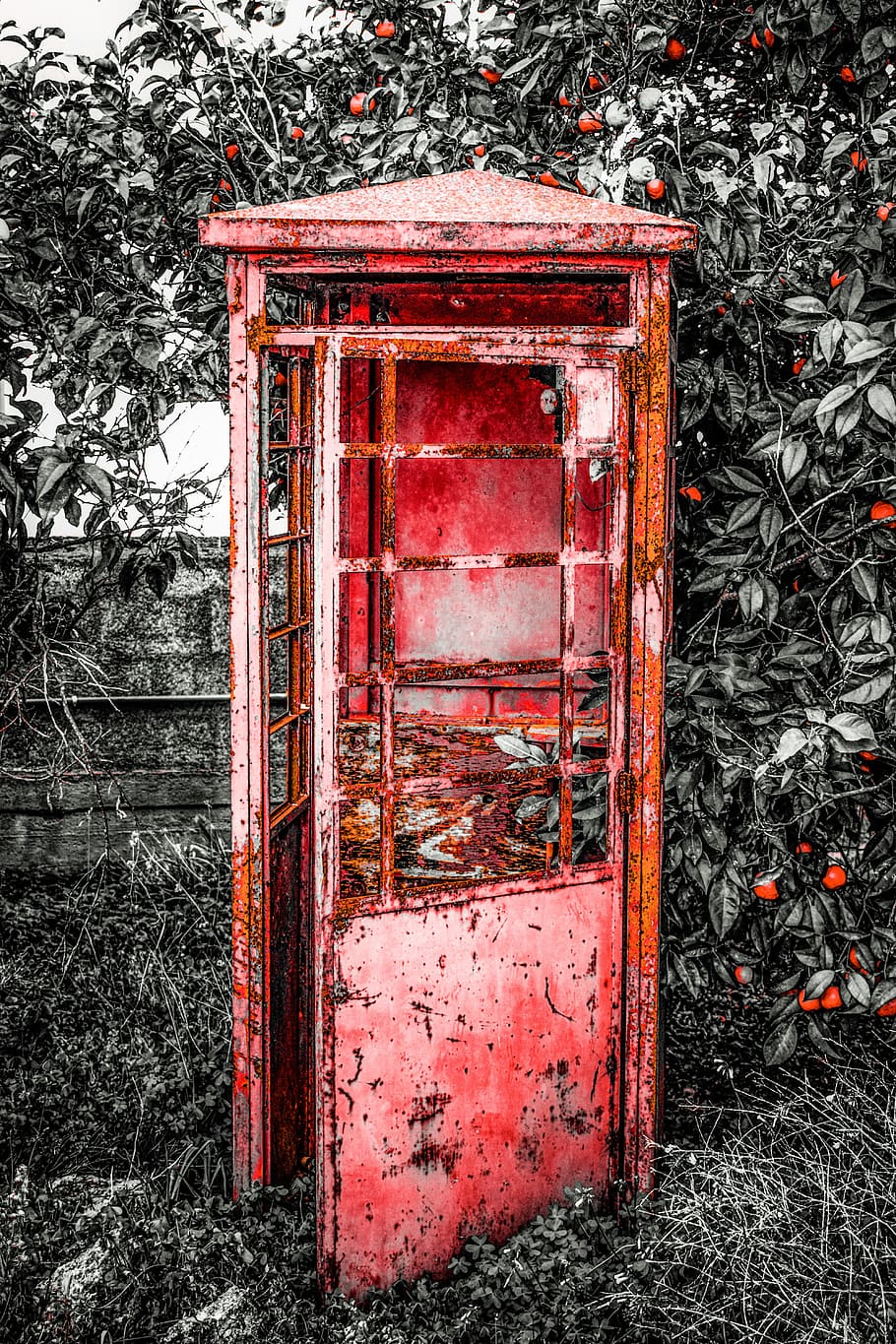 telefonní budka, letitý, antický, rezavý, retro, Červené, nikdo, strom, den, venku, Příroda