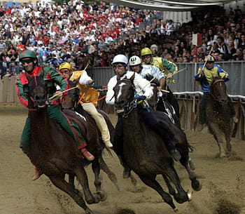 palio, di, asti, άλογο, αγώνας, palio di asti, ιπποδρομία, Ιταλία, asti άλογο, φωτογραφίες, δημόσιος τομέας