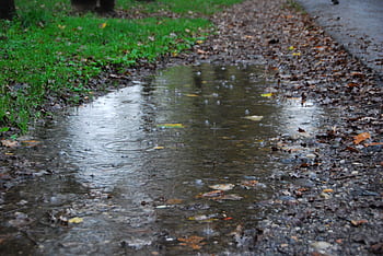 puddle, rain, splash