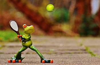 red, eyed, tree frog, Frog, Tennis, Figure, Fun, Cute, funny, sweet, tennis racket