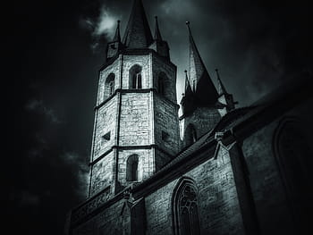 gray, concrete, castle, tree, church, dark, at night, darkness, light, building, architecture