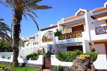 white, concrete, house, green, palm leaf tree, holiday complex, hotel, room, sea view, palm trees, dream holiday