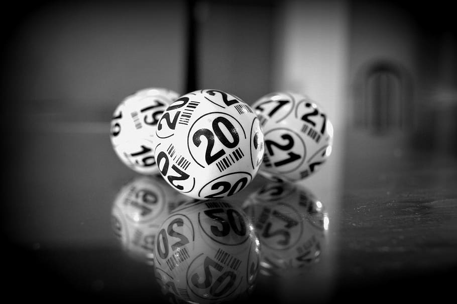 bingo, sweepstakes, lottery, fortune, game, win, award, winner, lotto, good luck, casino