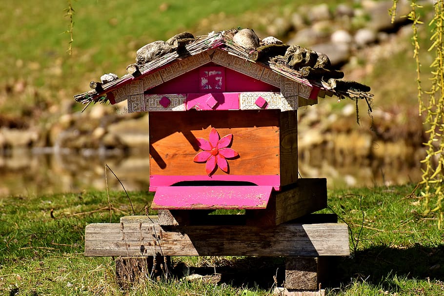 orange, pink, wooden, house figure, beehive, bees, wood, colorful, wildpark poing, day, grass