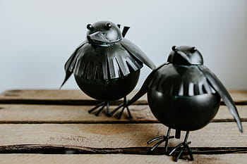 少し、 黒い、 プラスチックの鳥、 スマートフォン、 棚、 少し黒い、 プラスチック、 鳥、 装飾、 偽物、 おもちゃ