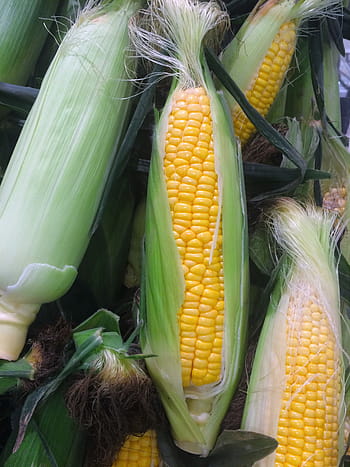 sweet corns, corn, vegetables, yellow, seiyu ltd, living, supermarket, fruits and vegetables, department, heisei-cho, yokosuka