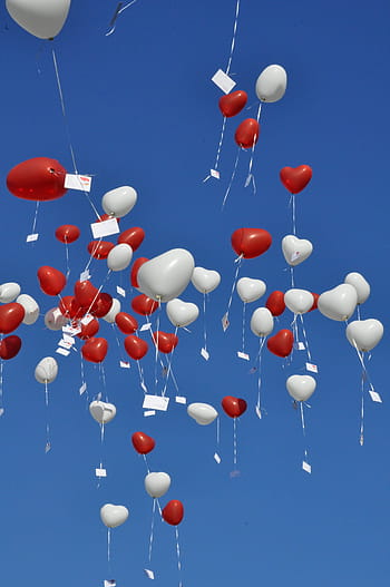 Langit, Balon, biru, perayaan, kelompok besar benda, balon helium, pesta - acara sosial