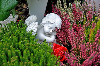 trauer, engel, totensonntag, gedenken, verstorbene, duka, kesedihan, Friedhof, makam, suasana, malaikat