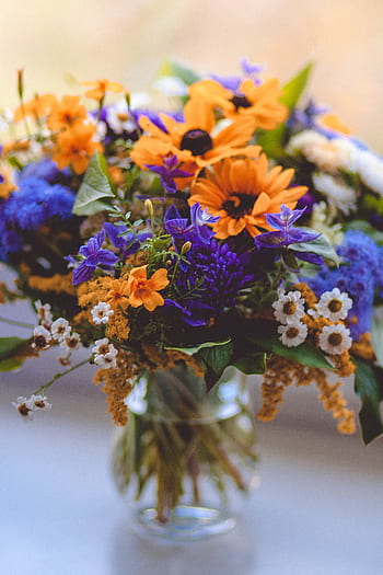 fiori, natura, le foglie, petali, mazzo, vaso, arredamento, interno, bianca, giallo, viola