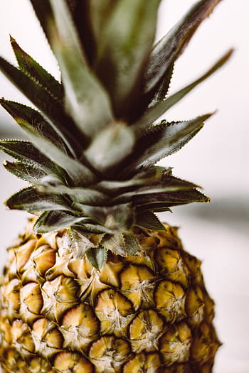 ananas, dezert, předkrm, ovoce, šťáva, oříznutí, tropické klima, detail, jídlo a pití, nikdo, Zdravé stravování
