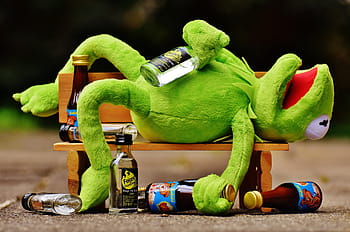 kermit, frog, glass bottles, lying, wooden, bench, drink, alcohol, drunk, bank, rest