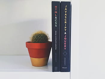 Două, negru, acoperit, carte, lângă, verde, cactus, plantă, html, css, JavaScript