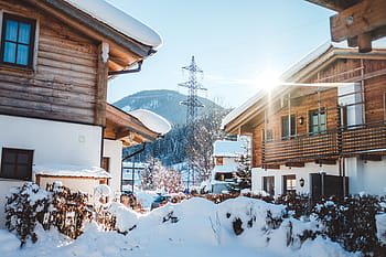 houses, covered, snow, daytime, winter, white, cold, weather, ice, trees, plants