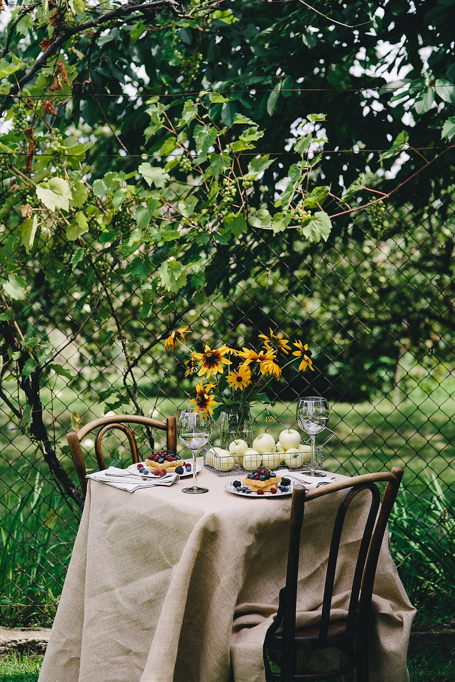 summer, flower, flowers, garden, table, relax, fruits, food, picnic, eating, nature